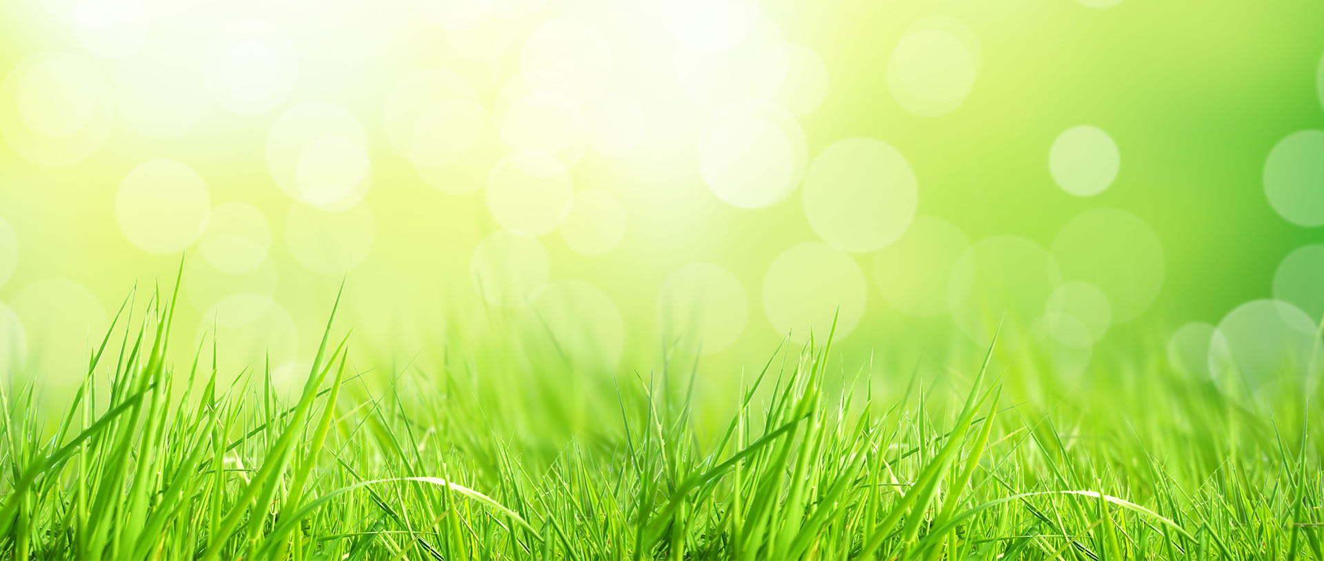 agencje interaktywne warszawa